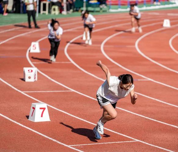 因不理智行 因不理智行