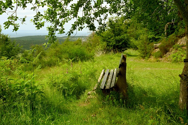 将比分反超 将比分反超