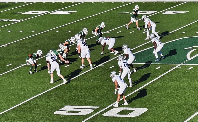 韩国队的核 韩国队的核